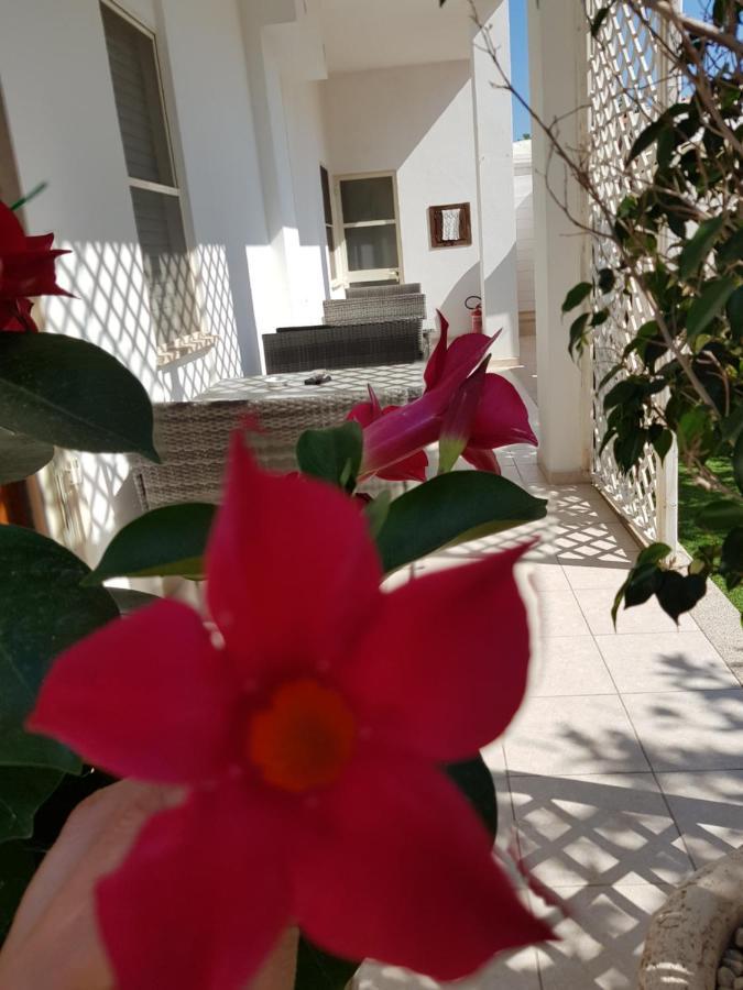 Zia Mia B&B 奧爾比亞 外观 照片