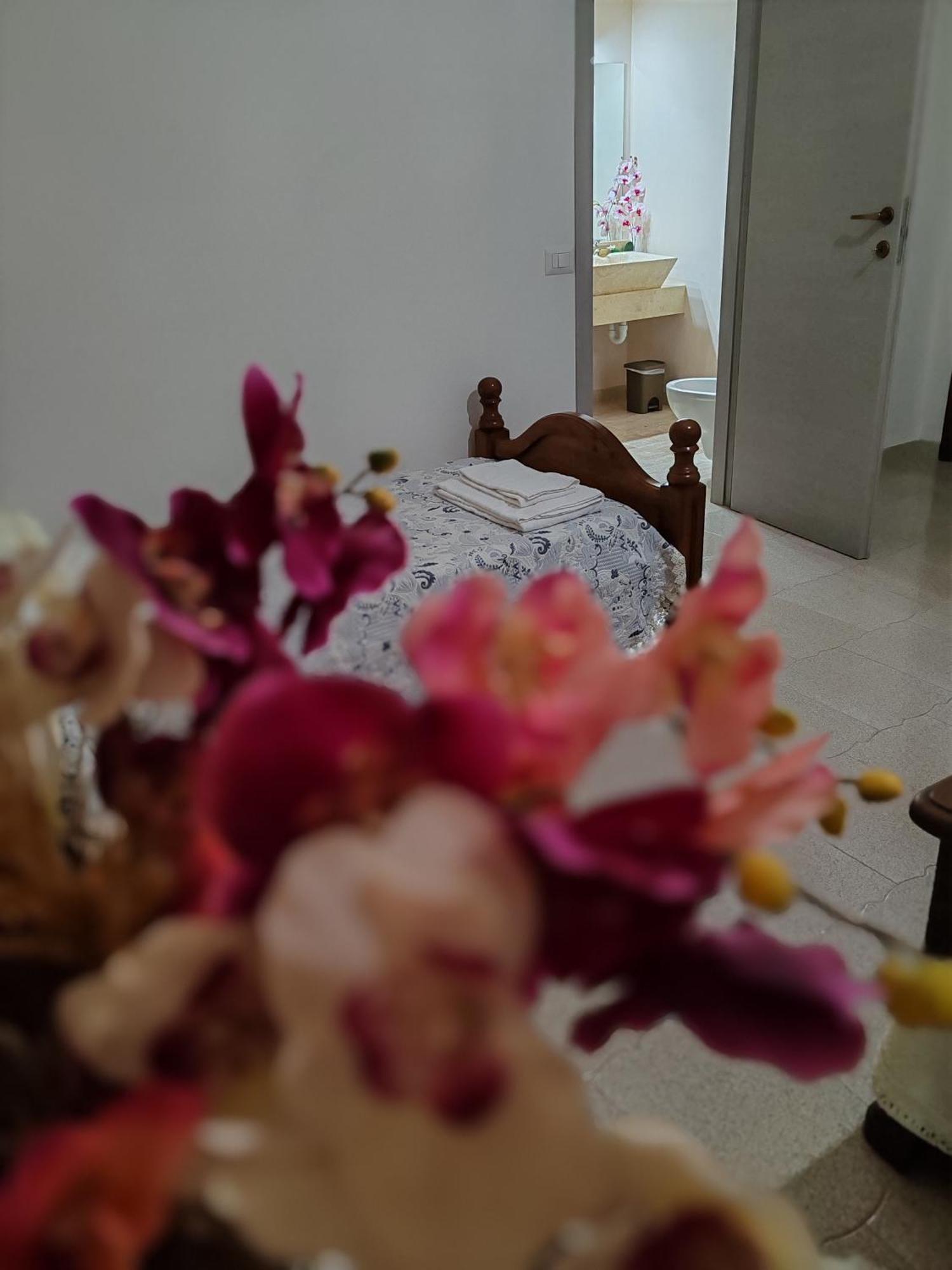 Zia Mia B&B 奧爾比亞 外观 照片